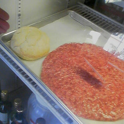 burger_raw.jpg