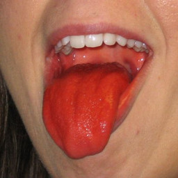 jello05.jpg