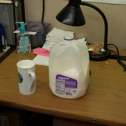 P1010108.jpg